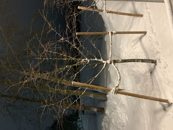 b_600__16777215_00_images_0konkurs_IMG_4515.jpg