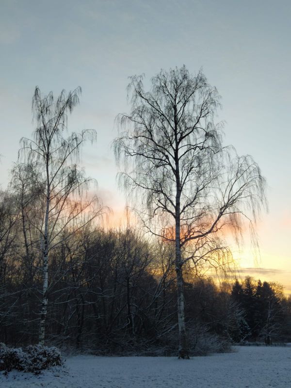 b_600__16777215_00_images_Dudaleva_zakat.jpg